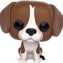 Pop! Pets: Beagle [6] (used)