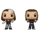 Pop! WWE: The Hardy Boyz [2-Pack] (used)
