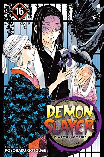 Demon Slayer: Kimetsu no Yaiba - Volume 16 (used)