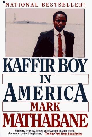 Kaffir Boy in America (used)