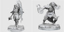 D&D Nolzur's Marvelous Unpainted Miniatures - Wave 20: Half-Elf Warlock