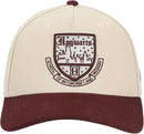 Harry Potter Hogwarts Logo Snapback Hat