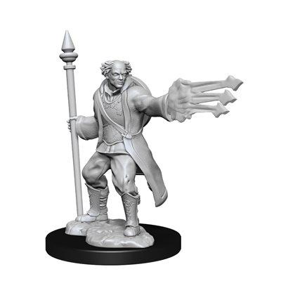 D&D Nolzur's Marvelous Miniatures: Multiclass Cleric + Wizard Male