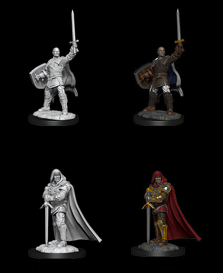 D&D Nolzur's Marvelous Miniatures - Wave 13: Human Paladin Male