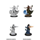 D&D Nolzur's Marvelous Miniatures - Wave 11: Human Wizard Female