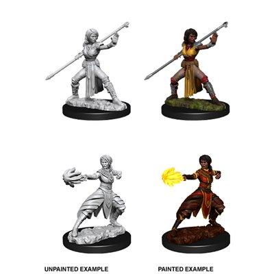 D&D Nolzur's Marvelous Miniatures - Wave 10: Half-Elf Monk Female