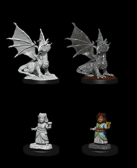 D&D Nolzur's Marvelous Miniatures - Wave 13: Silver Dragon Wyrmling & Halfling Dragon Friend