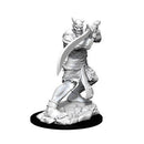 D&D Nolzur's Marvelous Miniatures - Wave 13: Efreeti