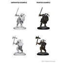 D&D Nolzur's Marvelous Unpainted Miniatures - Wave 04: Earth Genasi Fighter Male