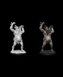 D&D Nolzur's Marvelous Miniatures - Wave 12.5: Ettin