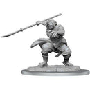 D&D Nolzur's Marvelous Miniatures - Wave 17: Oni Female