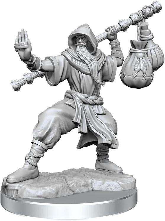 D&D Frameworks: Human Monk Male