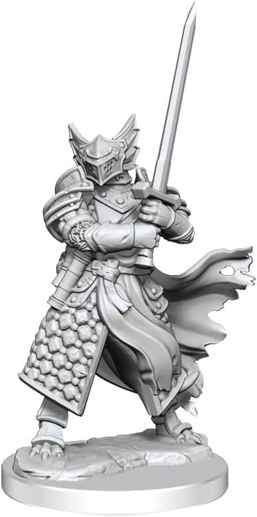 D&D Frameworks: Dragonborn Paladin Male