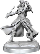 D&D Frameworks: Tiefling Rogue Female