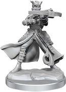 D&D Frameworks: Tiefling Rogue Female