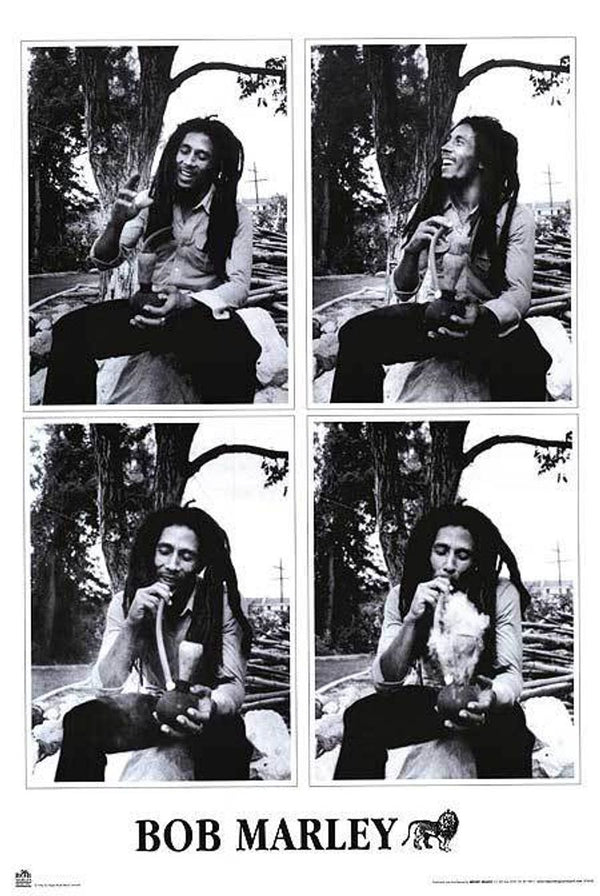 Bob Marley: V1 (Poster)