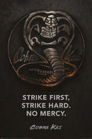 Cobra Kai (Poster)