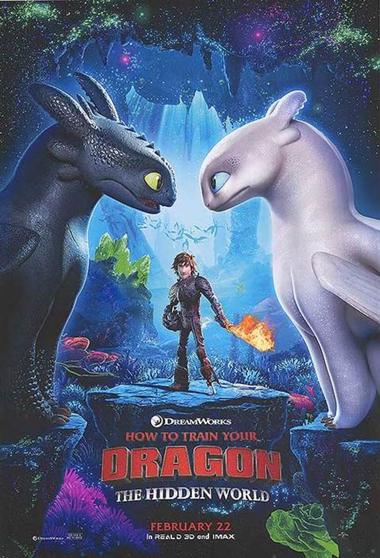 How to Train your Dragon: The Hidden World (Poster)