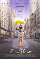 Picture Perfect (Poster)