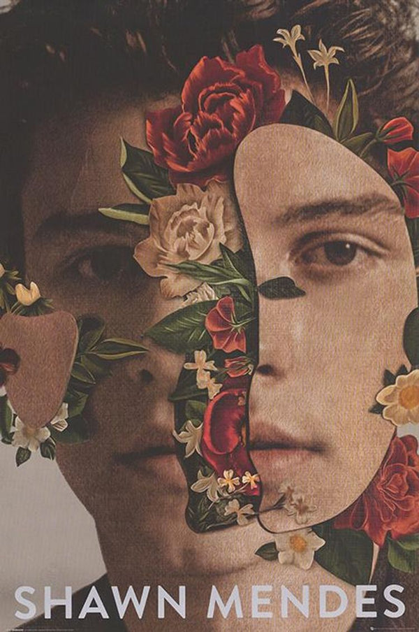 Shawn Mendes (Poster)