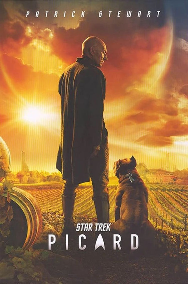 Star Trek Picard (Poster)