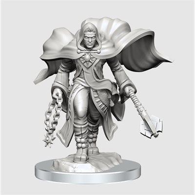D&D Nolzur's Marvelous Miniatures - Wave 20: Aasimar Cleric Male