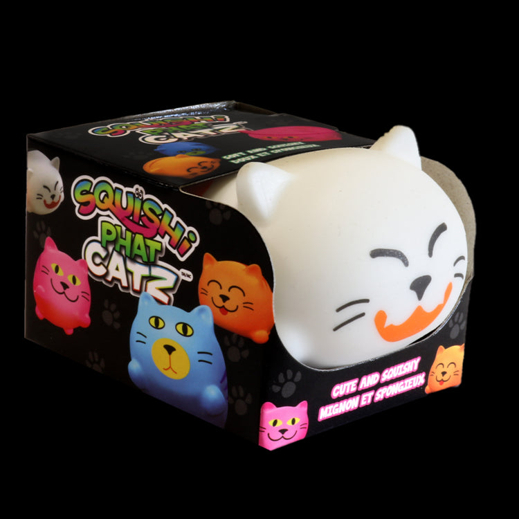Squishi Phat Cat (Assorted)