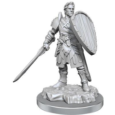 D&D Nolzur's Marvelous Miniatures - Wave 21: Human Fighters