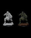 D&D Nolzur's Marvelous Miniatures - Wave 12: Venom Troll