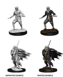 Pathfinder Deep Cuts - Wave 10: Elf Rogue Male