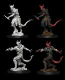 D&D Nolzur's Marvelous Unpainted Miniatures - Wave 05: Tiefling Rogue Male