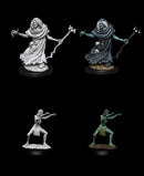 D&D Nolzur's Marvelous Unpainted Miniatures - Wave 12: Sea Hag & Bheur Hag