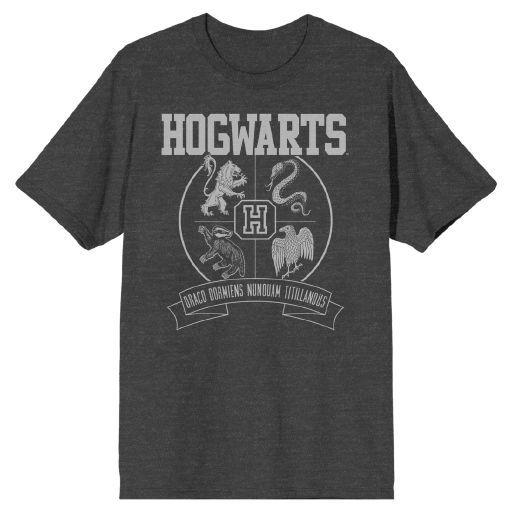 Harry Potter Hogwarts Draco "Dormiens Nunquam Titillandus" Charchoal Heather T-shirt (small)